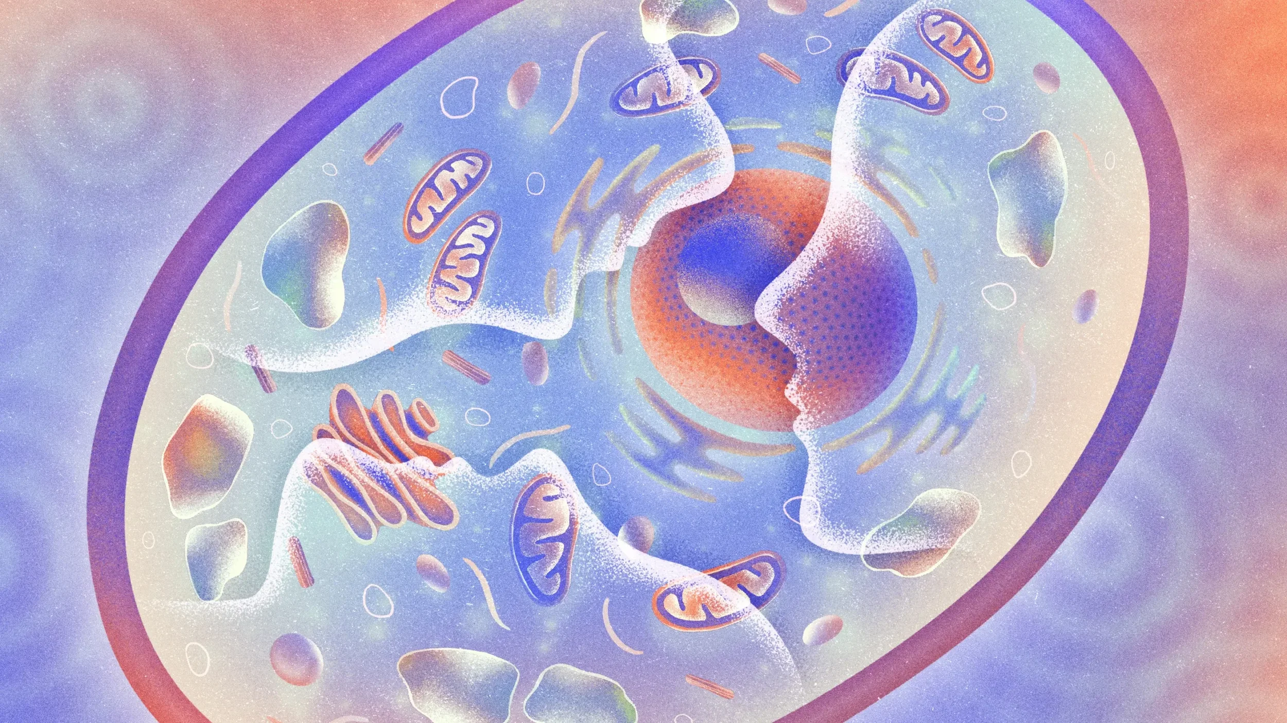 Quanta Magazine — What Can a Cell Remember?